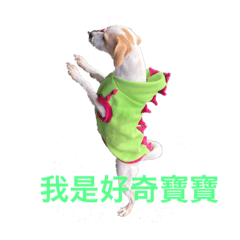Nono是我
