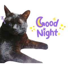 hiyori_20220509221257