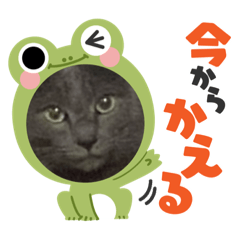miki39