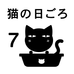 Cats Daily 7