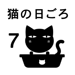 猫の日ごろ7 目つきの悪い黒猫