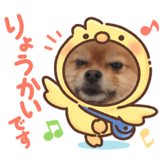junko_20220510000007
