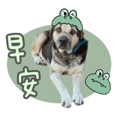 狗老大的日常用語