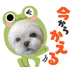 Risa_20220510022324