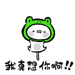 Cat Frog Pop-up[Taiwan]
