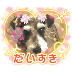 Ayumi_20220510155242