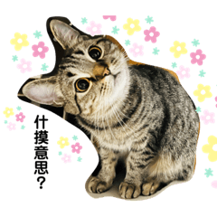 ㄉㄟˇㄉㄟˇ。。