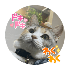 kaori_20220510201816
