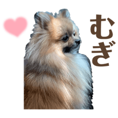 miki_20220510181123