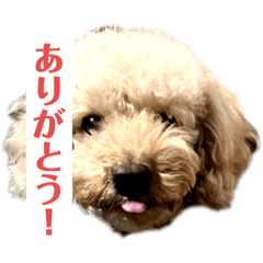 mizuki_20220510221547