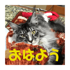 taki_20220510221437