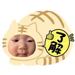 臻臻2