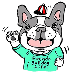 French Bulldog Life in Japan