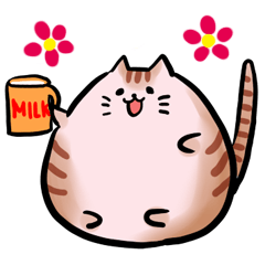Manma-chan the very round cat