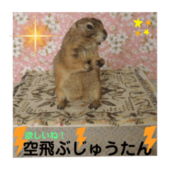 Jackie_20220511064218