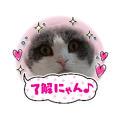 tono_20220511110708