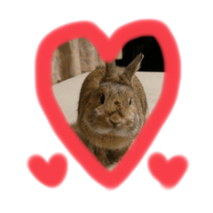 alice_20220510215726