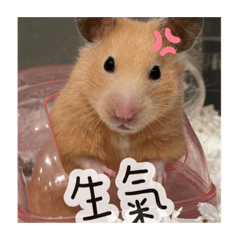 我的主人好煩1