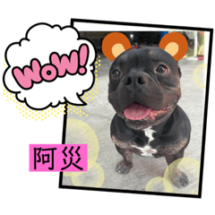 I”m惡霸～阿魯-5