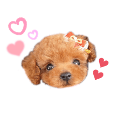 hikari_20220511022819