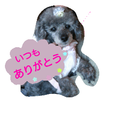 *.. sey ..*