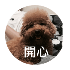 一杯奶茶全糖全冰