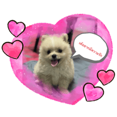 Toungrat_20220511104302