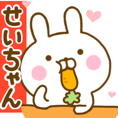 Rabbit Usahina love seichan 2