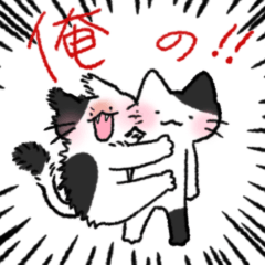 not thief cat (Japanese)