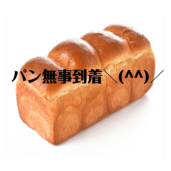 arisa_20220511161146