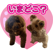 ichigomamezou