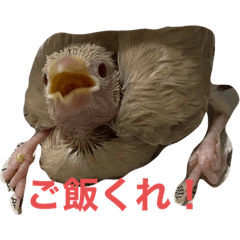 mizuki_20220511185007