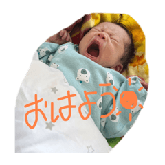 miki_20220511193655