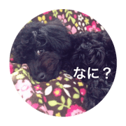 nayuhiroyuju