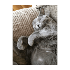 hikari_20220511204734