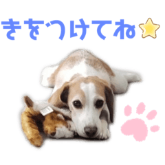 soleil0308_20220511223419