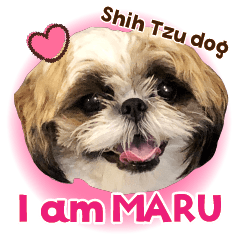I AM MARU!