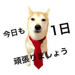 RANtako