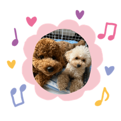 Natsumi_20220512121518