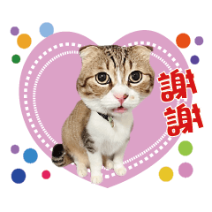 手機家族招財寶貝們1