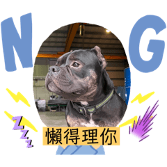 I”m惡霸～阿魯7