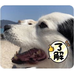 CHIE_20220512123537