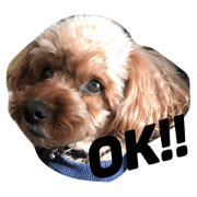 Coco stamp..