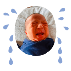 Ayumi_20220512153141