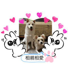 糖糖兜兜
