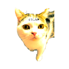 HIKARU_20220512063619