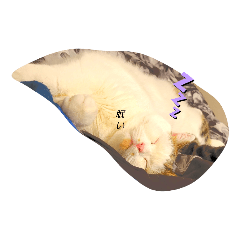 HIKARU_20220512122131