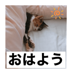 hana_20220512155725