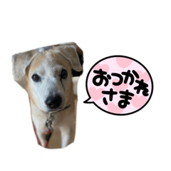 Chie_20220512171830