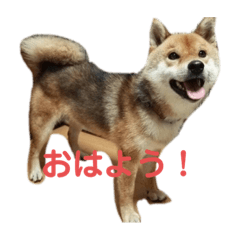 Natsumi_20220512213402